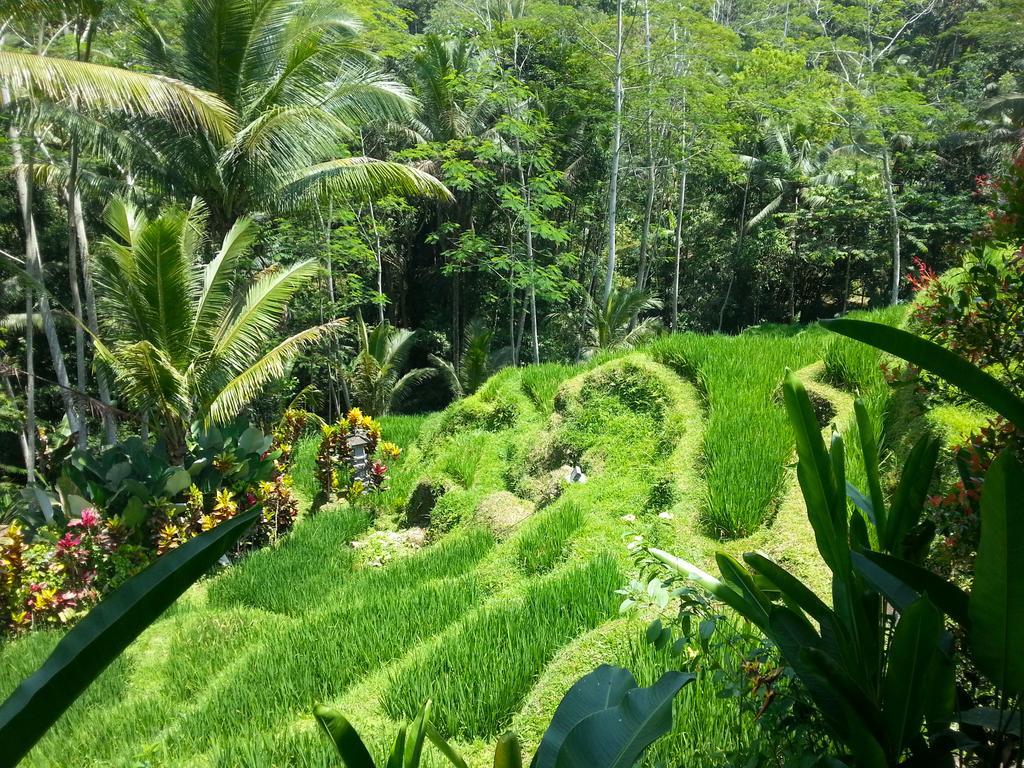 Villa Amrita Ubud Exterior foto